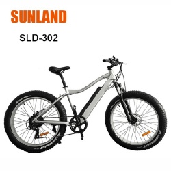 SLD-302 Fat Electric bicycle