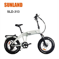 SLD-313 Fat Electric bicycle