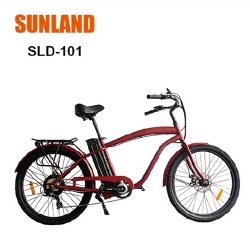 SLD-101 City E bike
