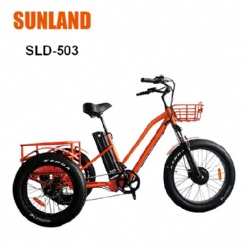 SLD-503 Trike Electric bicycle