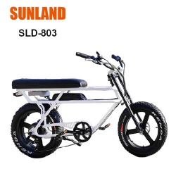 SLD-803 Snow Fat Electric bicycle