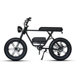 SLD-803B Snow Fat Electric bicycle