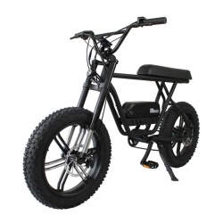 SLD-803C Snow Fat Electric bicycle