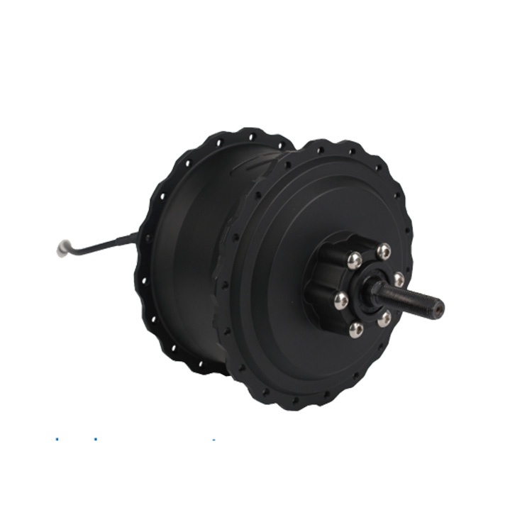Ebike Hub motor