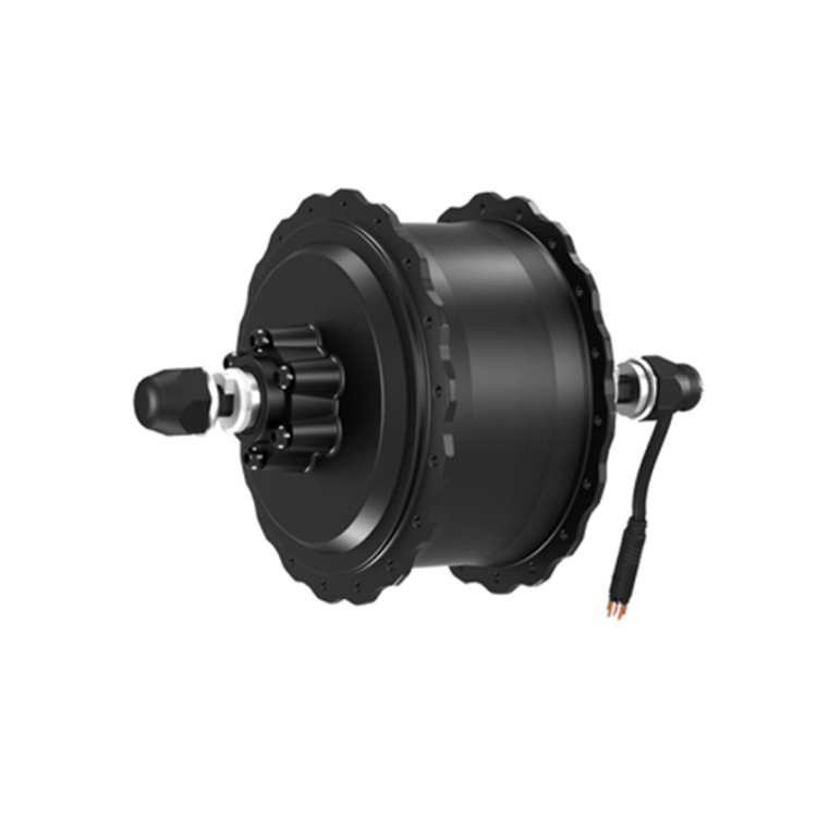 Ebike Hub motor