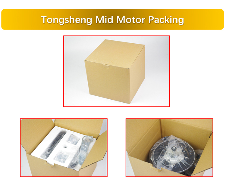 Tongsheng TSDZ2 mid motor kit with VLCD6 display